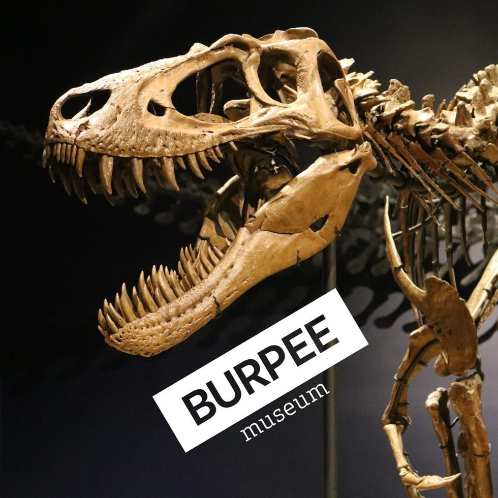 Burpee Museum of Natural History Where Curiosity Comes to Life!