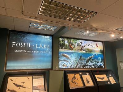 Fossil Lake 3