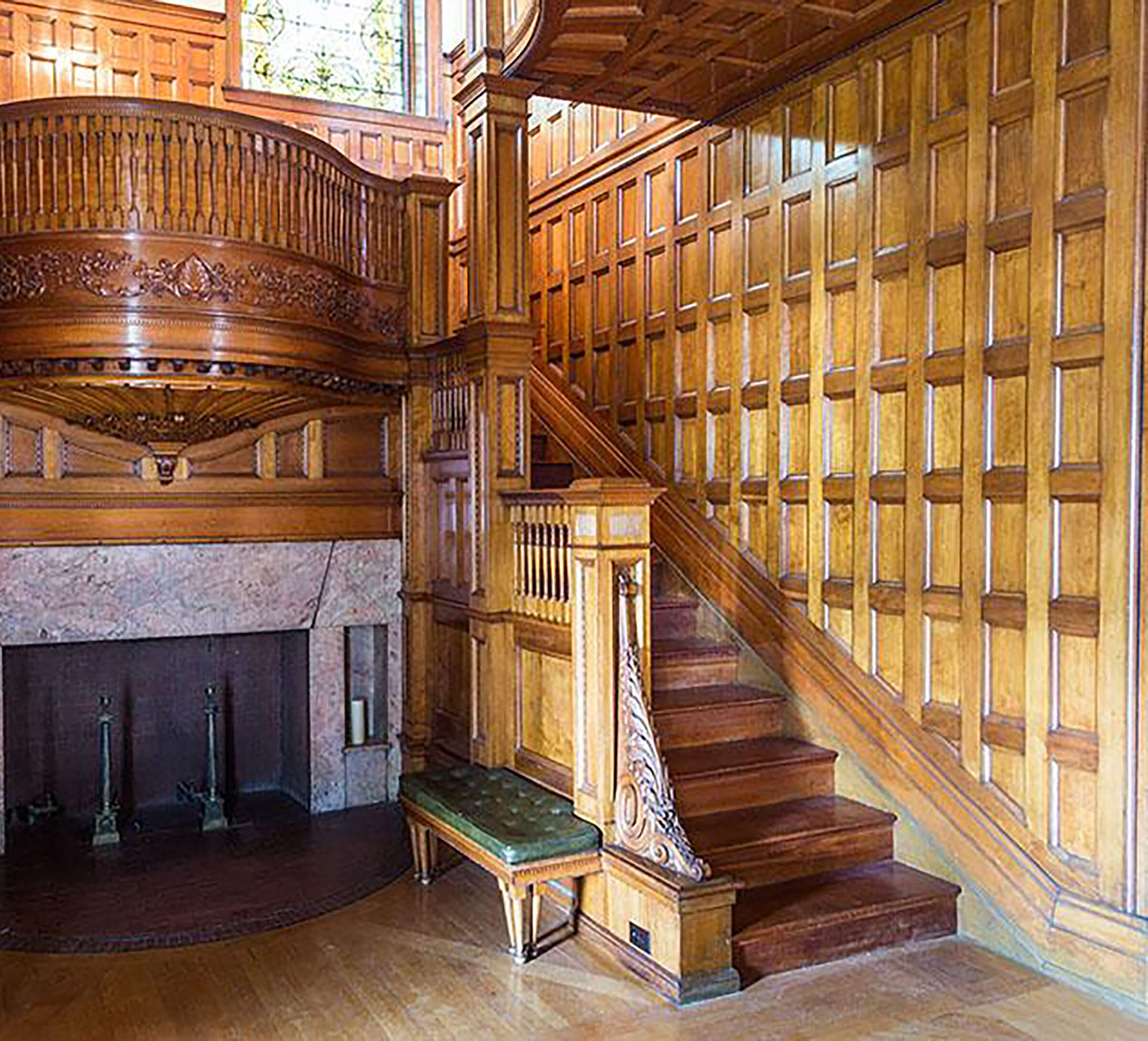 algaeprofile-533x400